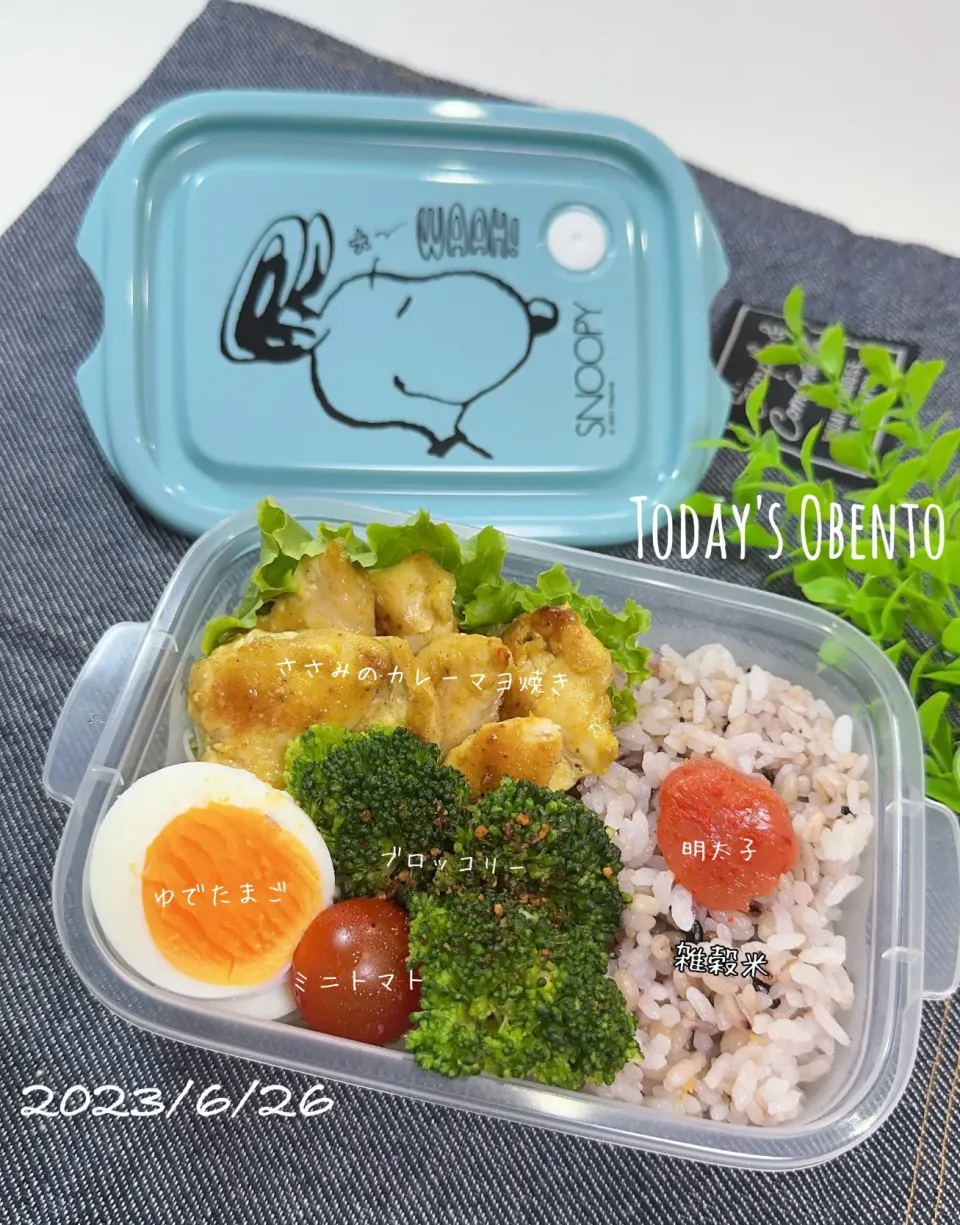 今日のお弁当🍱|✰︎miyu✰︎さん