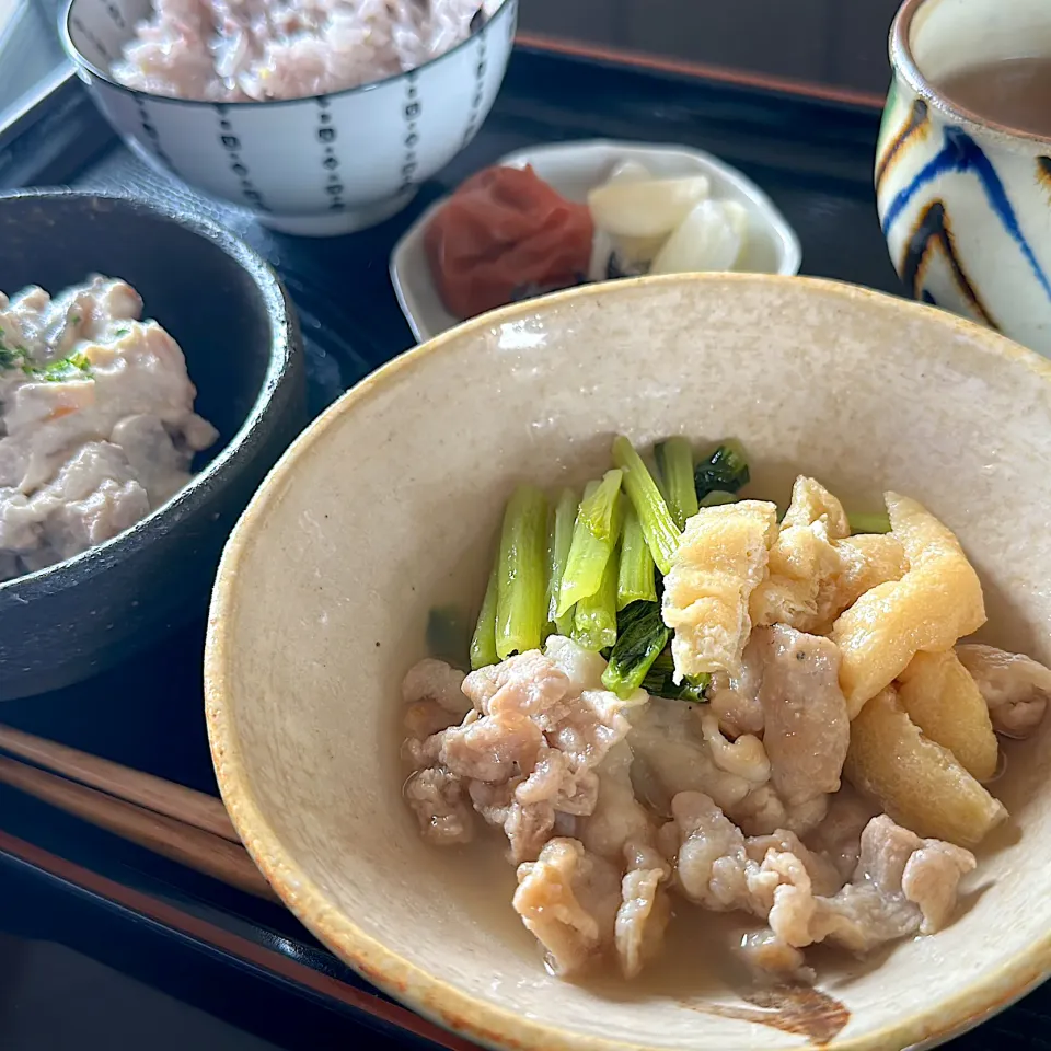 Snapdishの料理写真:小松菜と豚肉の煮物|くまちゃんさん