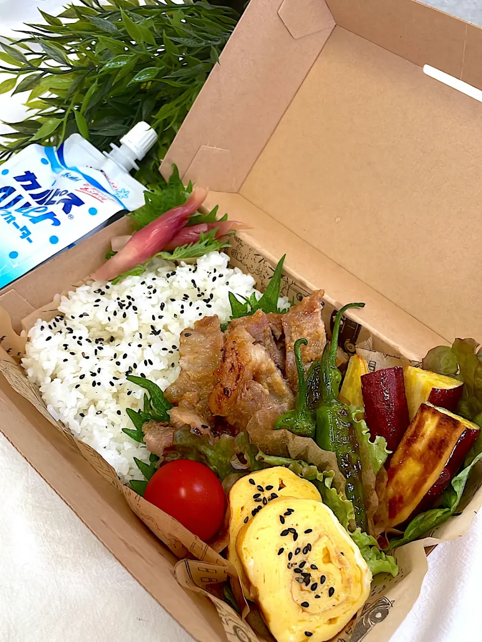 6.28 お弁当🍱|ayuさん