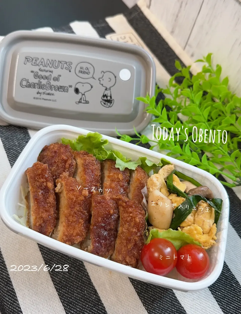 Snapdishの料理写真:今日のお弁当🍱|✰︎miyu✰︎さん