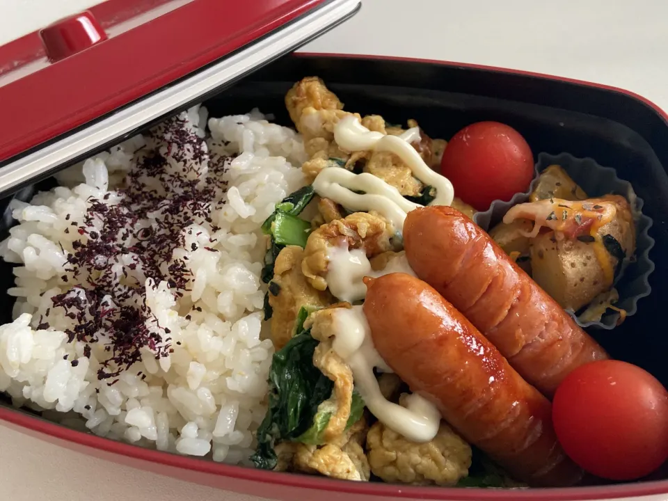 今日の旦那弁当|さちかさん