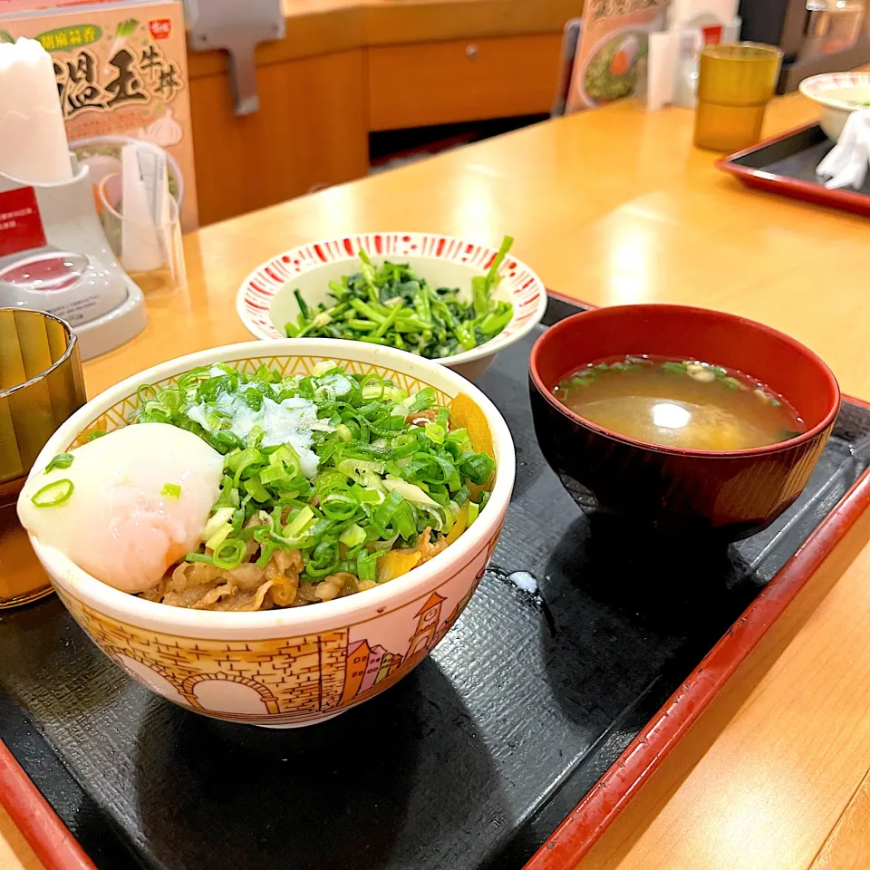 Green onion gyudon with soft boiled egg and green veggie combo|skyblueさん