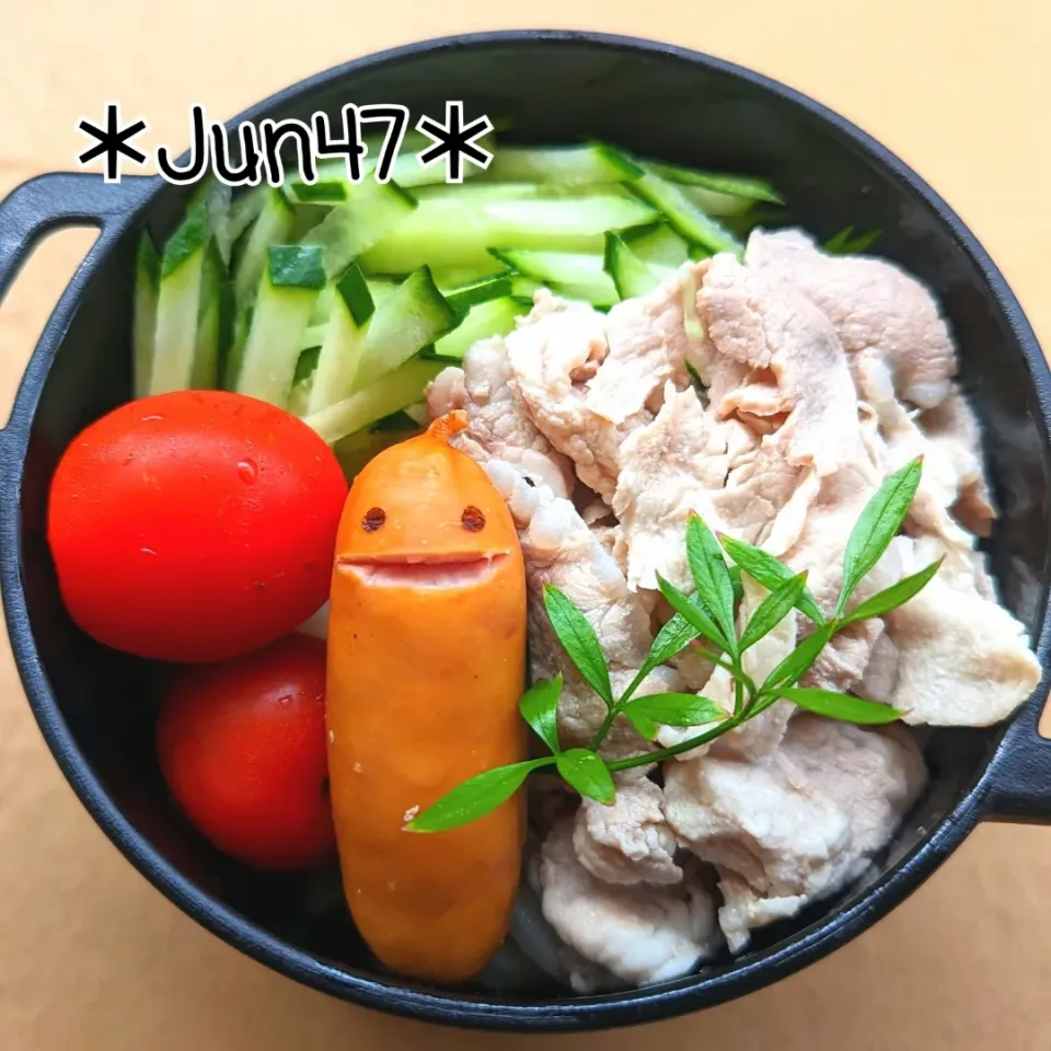 本日のゆる弁　豚しゃぶうどん弁当　20230624|jun47さん