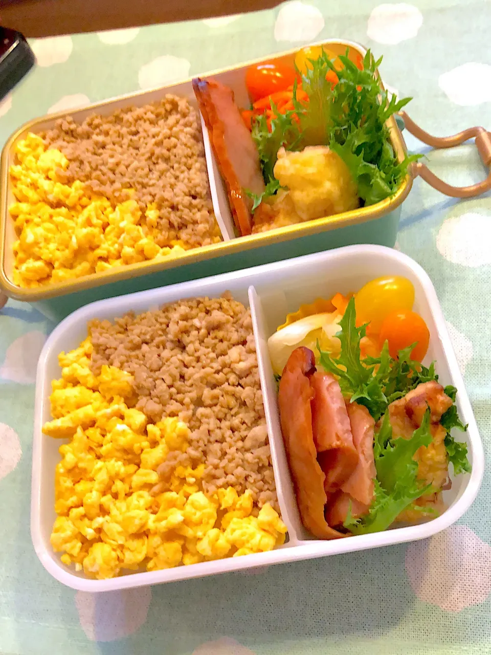 2023.6.29  ✩今日のお弁当✩そぼろ丼...♪*ﾟ|rinrin*mama*さん