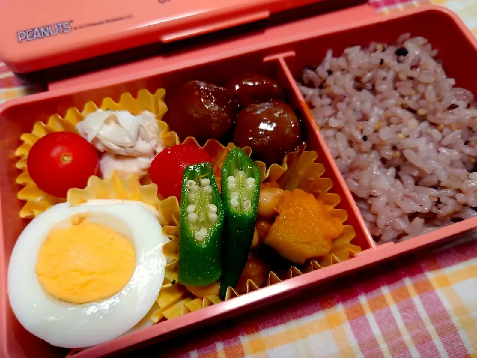 お弁当|はなちゃんさん