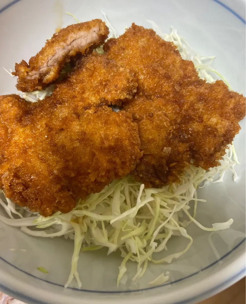 タレカツ丼|ぽみさん