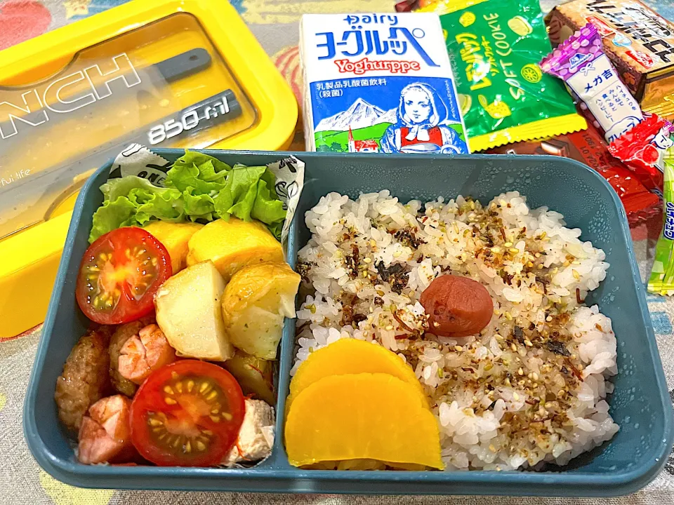 今日のヤツのお弁当（R5.6.30）|え〜かさん