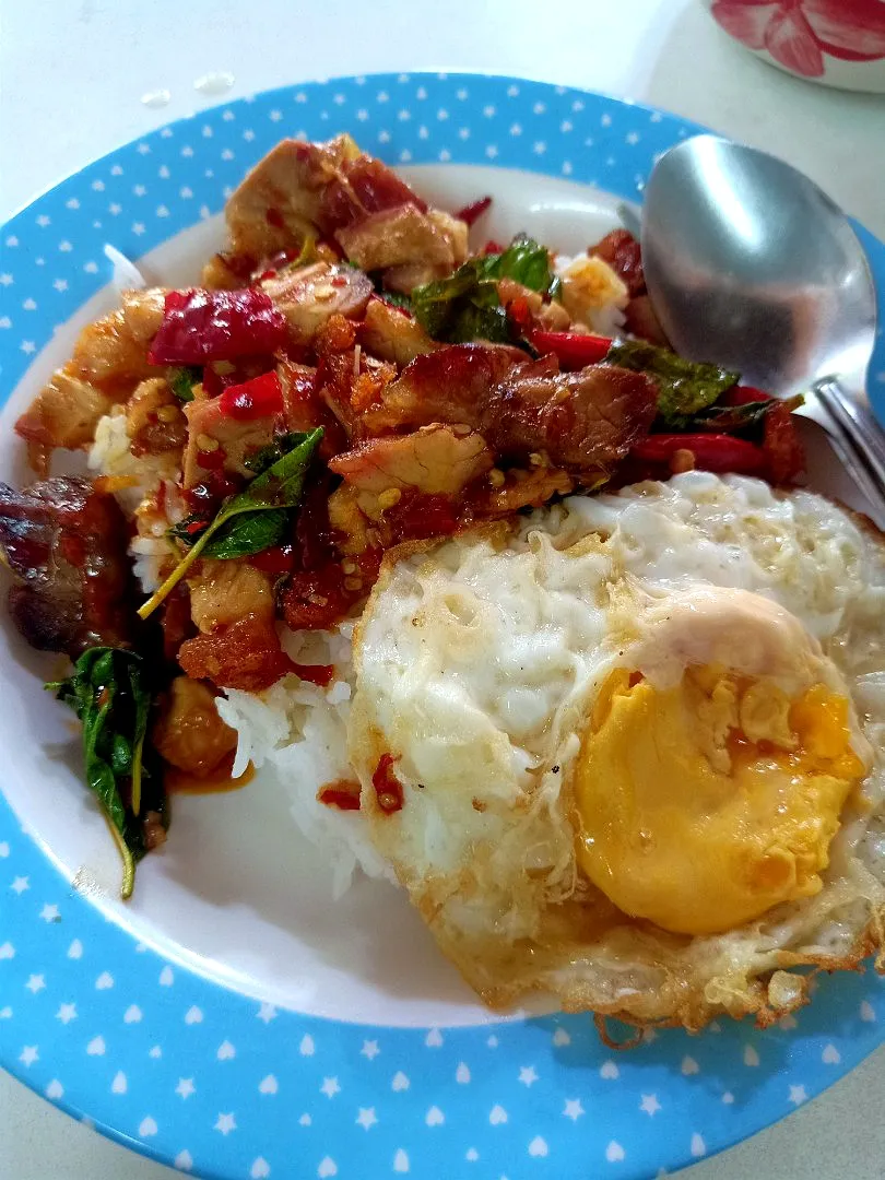 Hot Gaprao Moo Krob w/ Kai Dao 🌶️🌶️🌶️🐷🍳🍚🥵🤤
(กะเพราหมูกรอบไข่ดาว) |An'leeさん