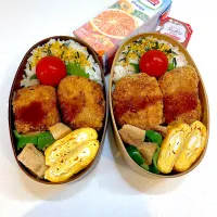 Snapdishの料理写真:2023.07.03 JKと私のお弁当