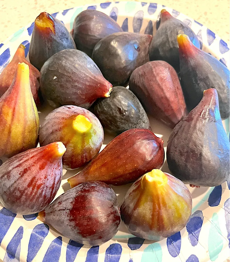 California Figs - freshly picked|🌺IAnneさん