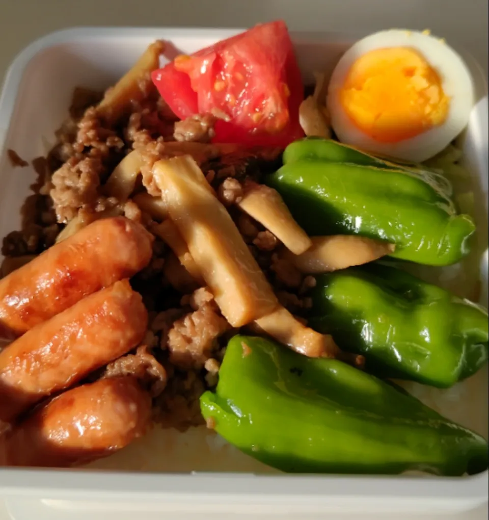 今日のお弁当|そごうりんさん