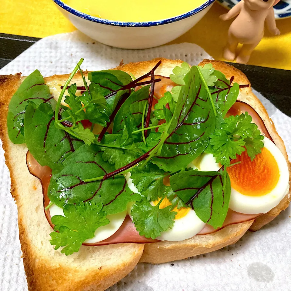 Snapdishの料理写真:オープンサンド|こじゅわいさん