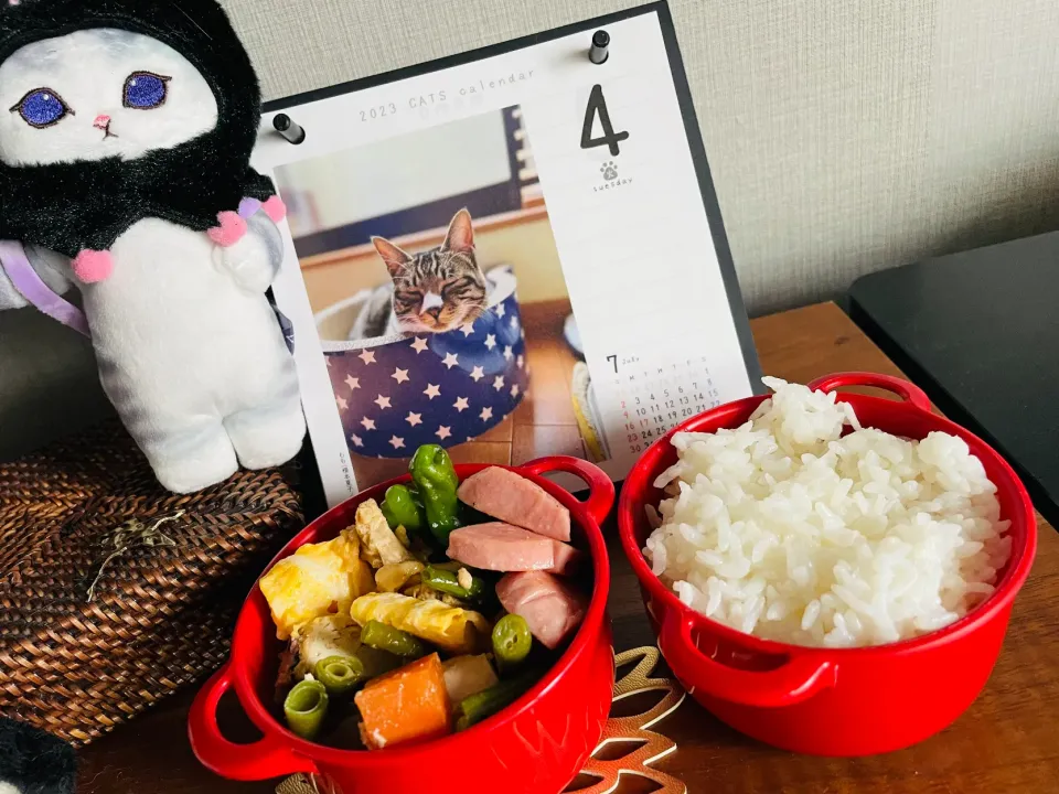 Snapdishの料理写真:20230704🍱今日の旦那さん弁当🍱|akiyo22さん