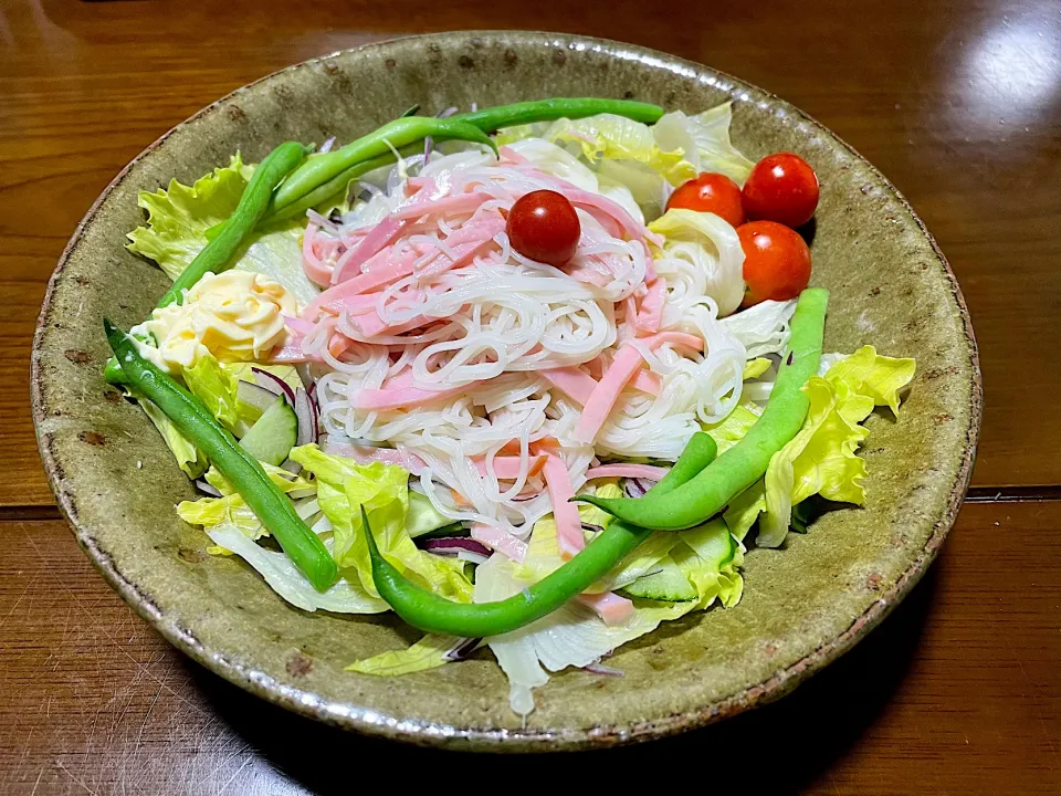 2023.7.4 サラダそうめん🥗|ゆみずさん