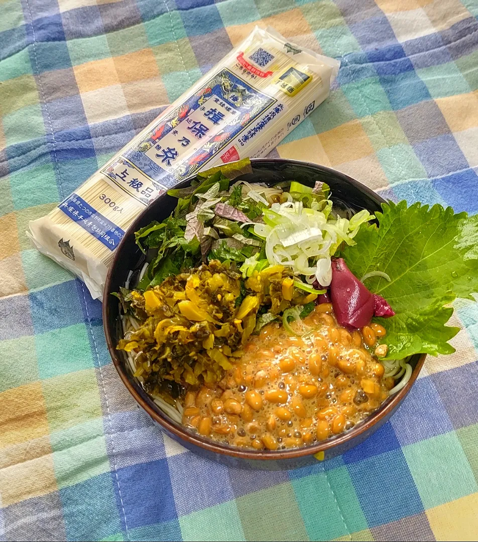 葱&シソ&梅&納豆&高菜たっぷり夏そうめん～キムチものせたかったなぁ～|かずにゃんさん