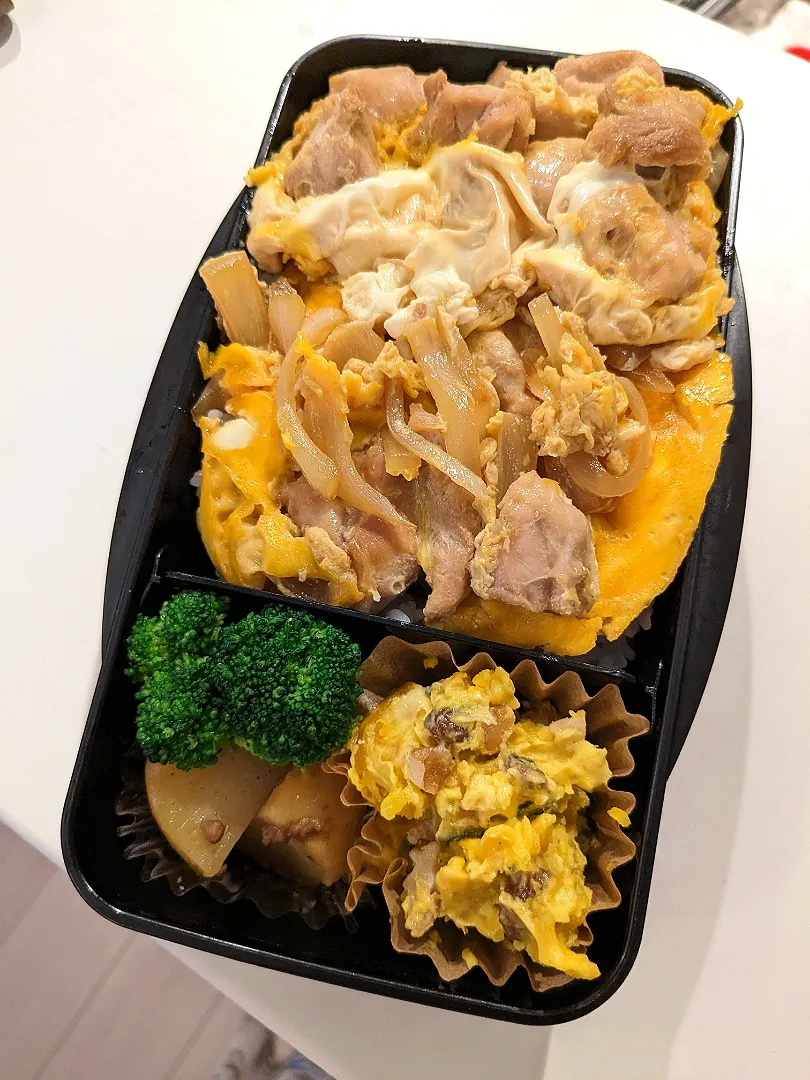 親子丼弁当|きゅーさん