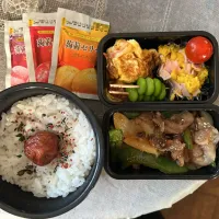 Snapdishの料理写真:男子高校生弁当🍙|イッシーさん