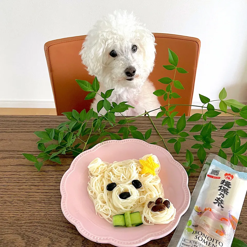 夏休みのランチに☆わんこ素麺|Ｌilicaさん