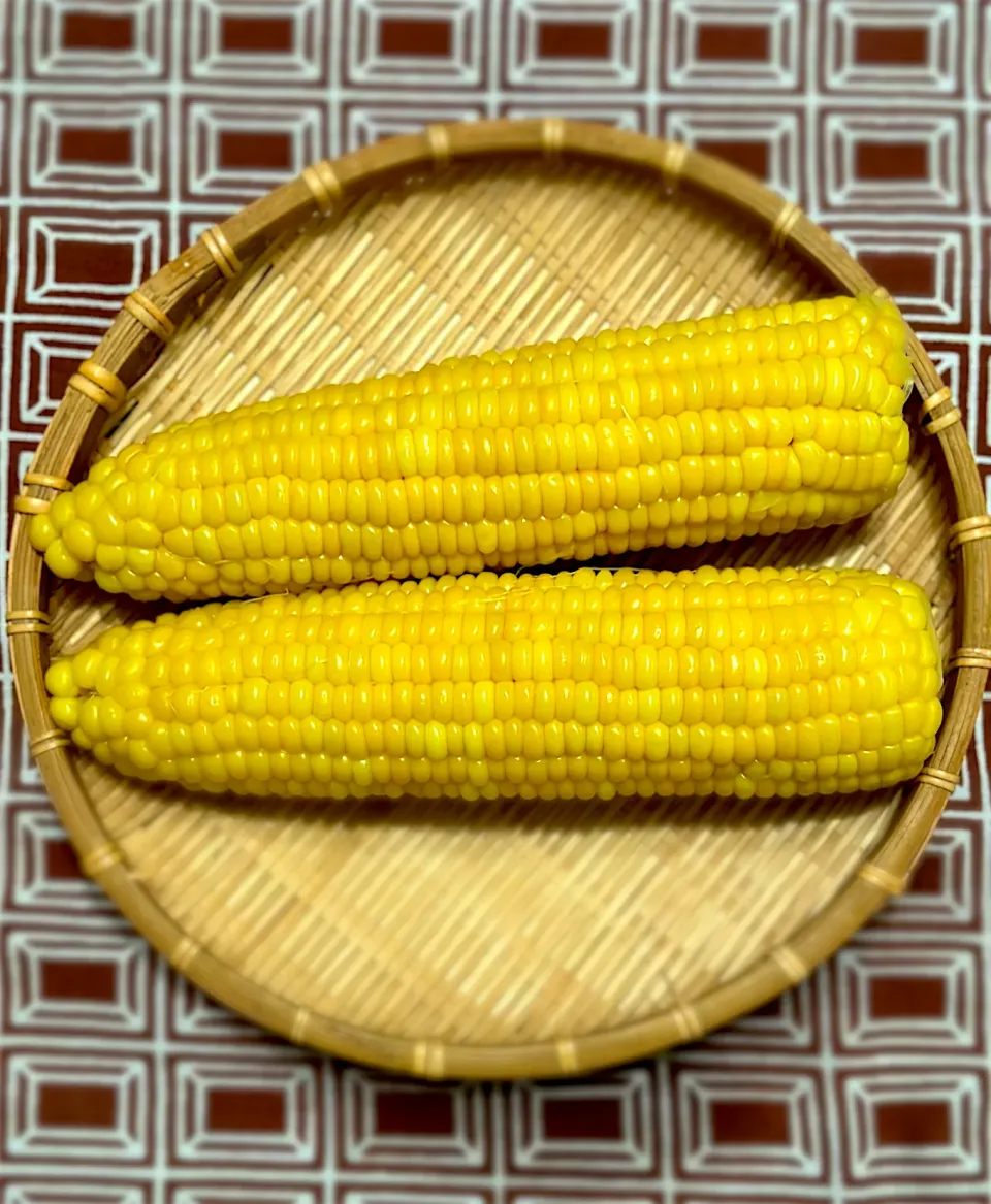 とうもろこし🌽|ともえ☆さん