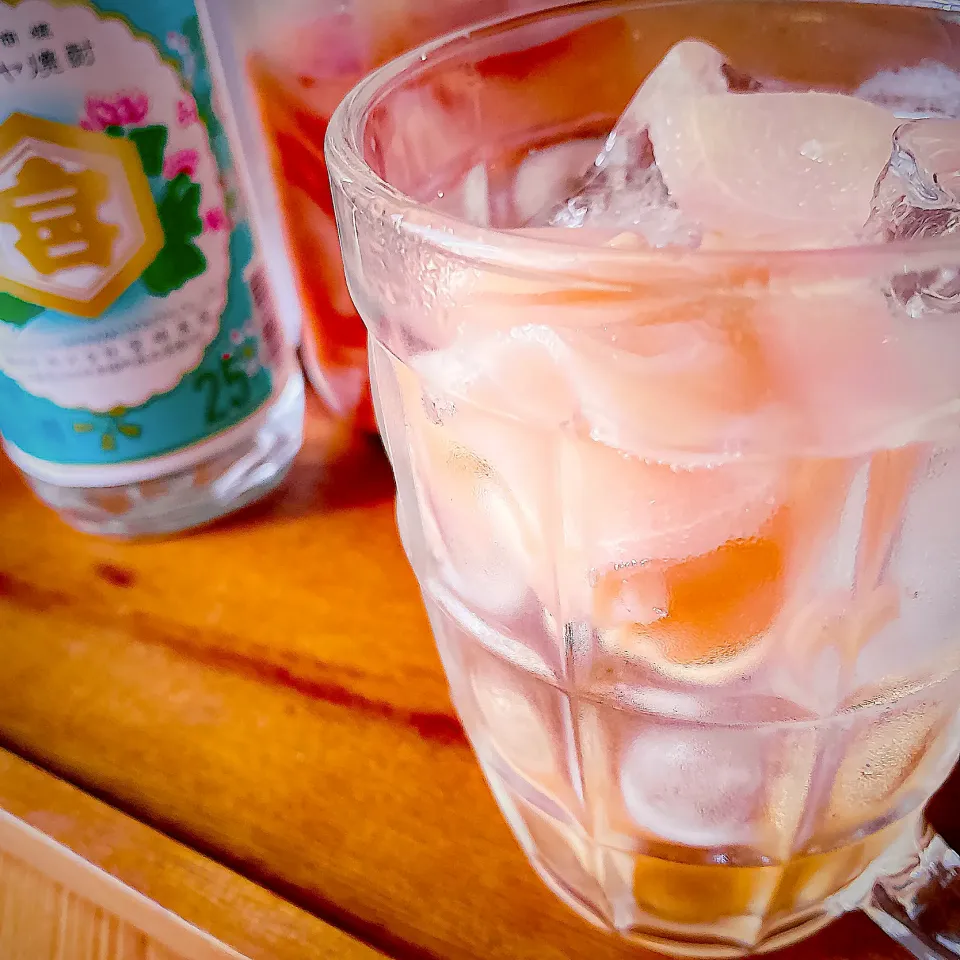 スカッと爽快🎐ガリチュー🍺|にゃんぺこさん