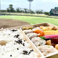 Snapdishの料理写真:崎陽軒シウマイ弁当|jさん