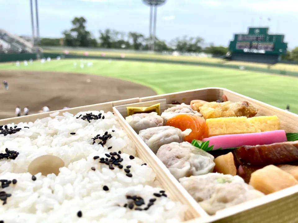 崎陽軒シウマイ弁当|jさん