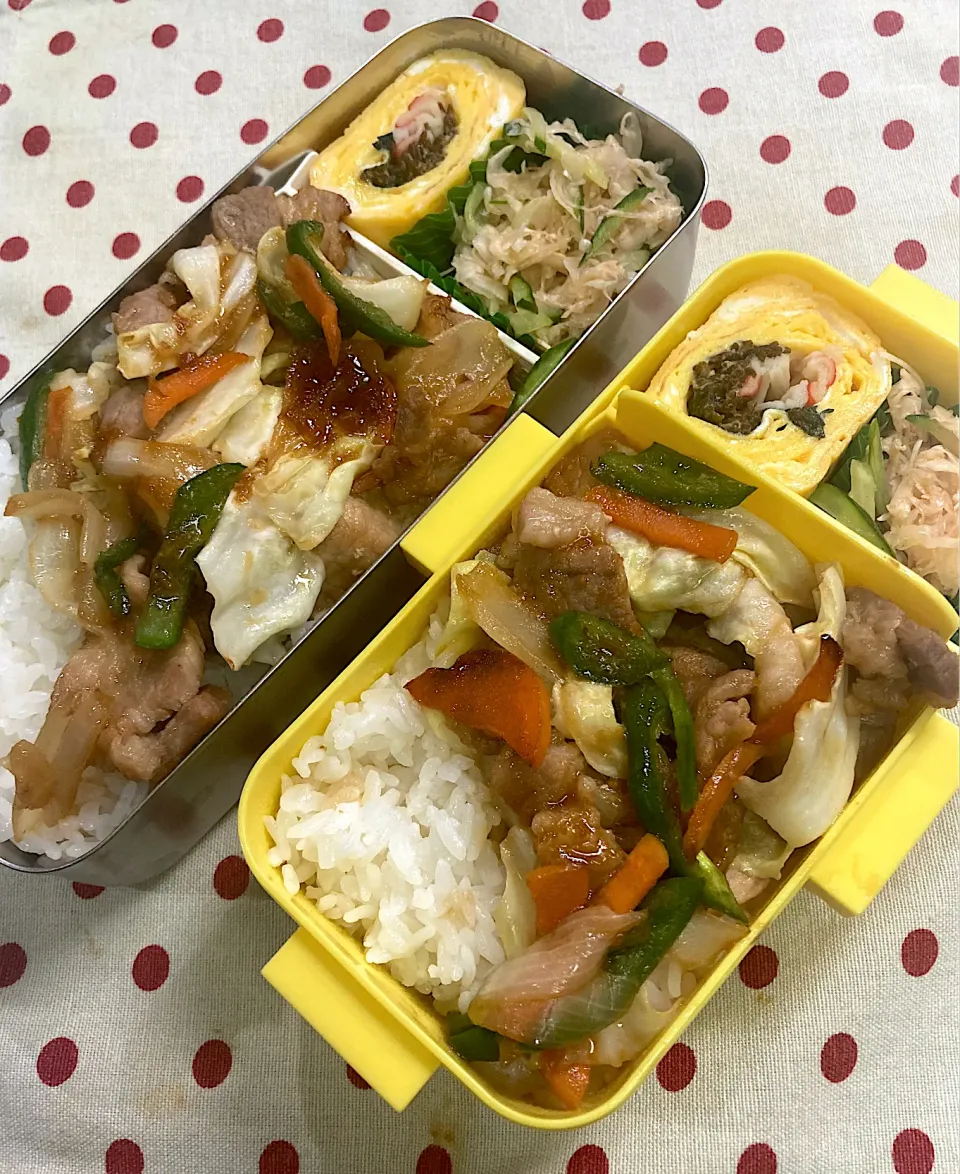 Snapdishの料理写真:7月10日 週の始まり 大雨の日弁当🍱|sakuramochiさん