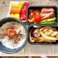 Snapdishの料理写真:男子高校生弁当🍙|イッシーさん