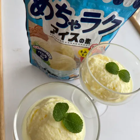 「ニップン　めちゃラクアイスの素　バニラ風味」を使ってみたSnapdishの料理・レシピ写真:めちゃラクアイス🍨