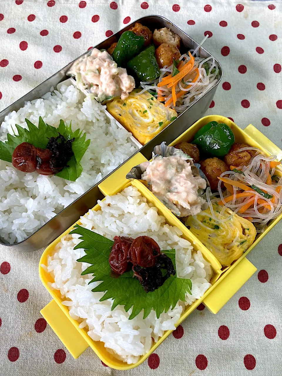 Snapdishの料理写真:7月11日 今日は晴天☀️極暑の日(？)弁当|sakuramochiさん