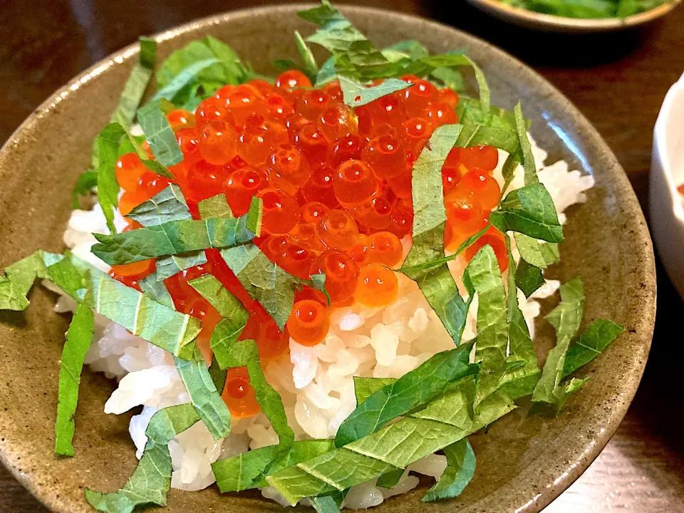 ふるさと納税いくら丼😁|カドラさん