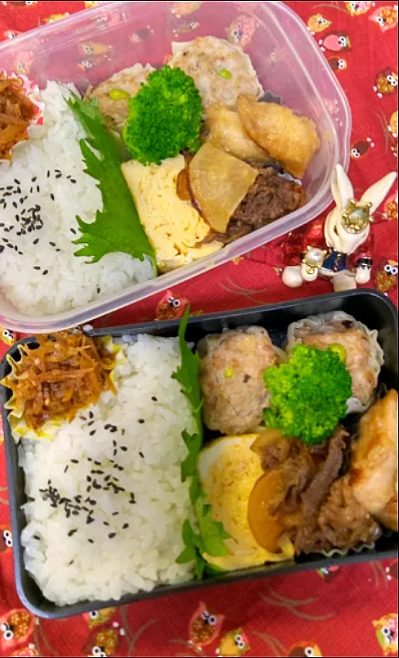 '23．7/11
本日のお弁当🍱|たえさん