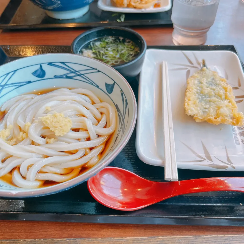 お昼ご飯|まめさん