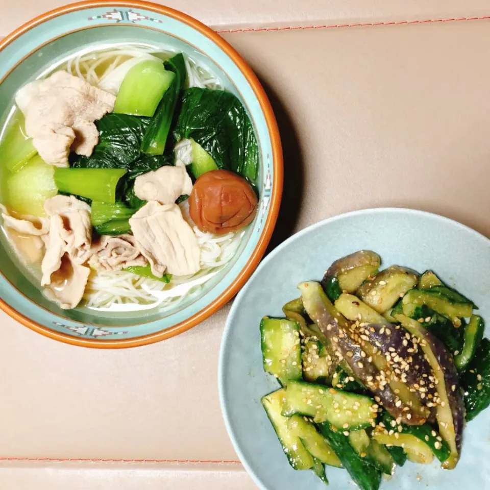 豚肉とチンゲン菜のぶっかけそうめん
なすときゅうりのナムル🍆🥒|naoさん