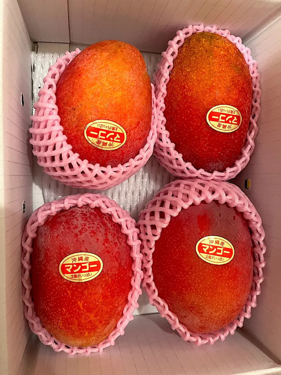 ふるさと納税|じょんさん