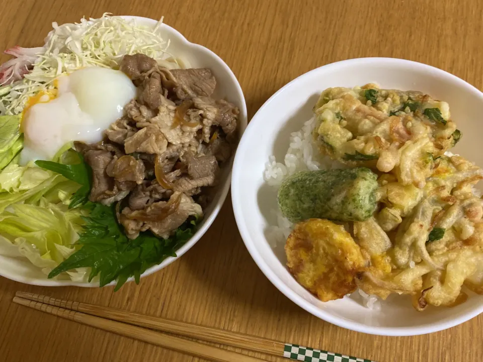 天丼&冷やしうどん|ここなりさん