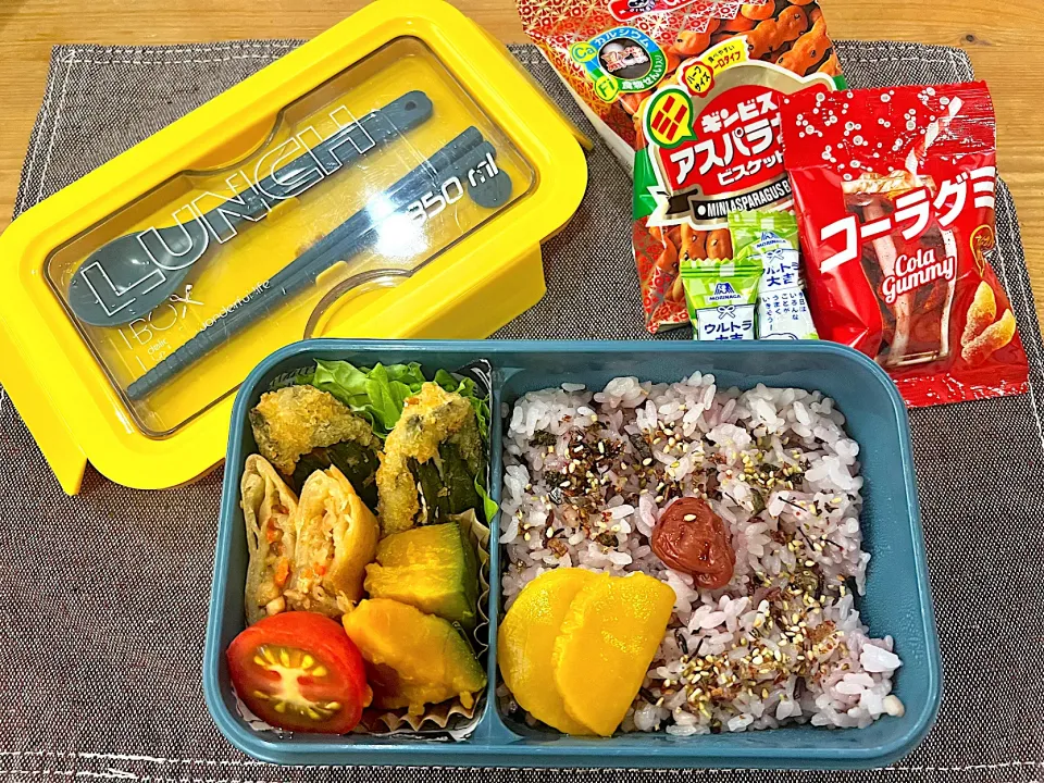 今日のヤツのお弁当（R5.7.12）|え〜かさん