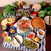 Snapdishの料理写真:【野菜たっぷりヘルシーごはん】