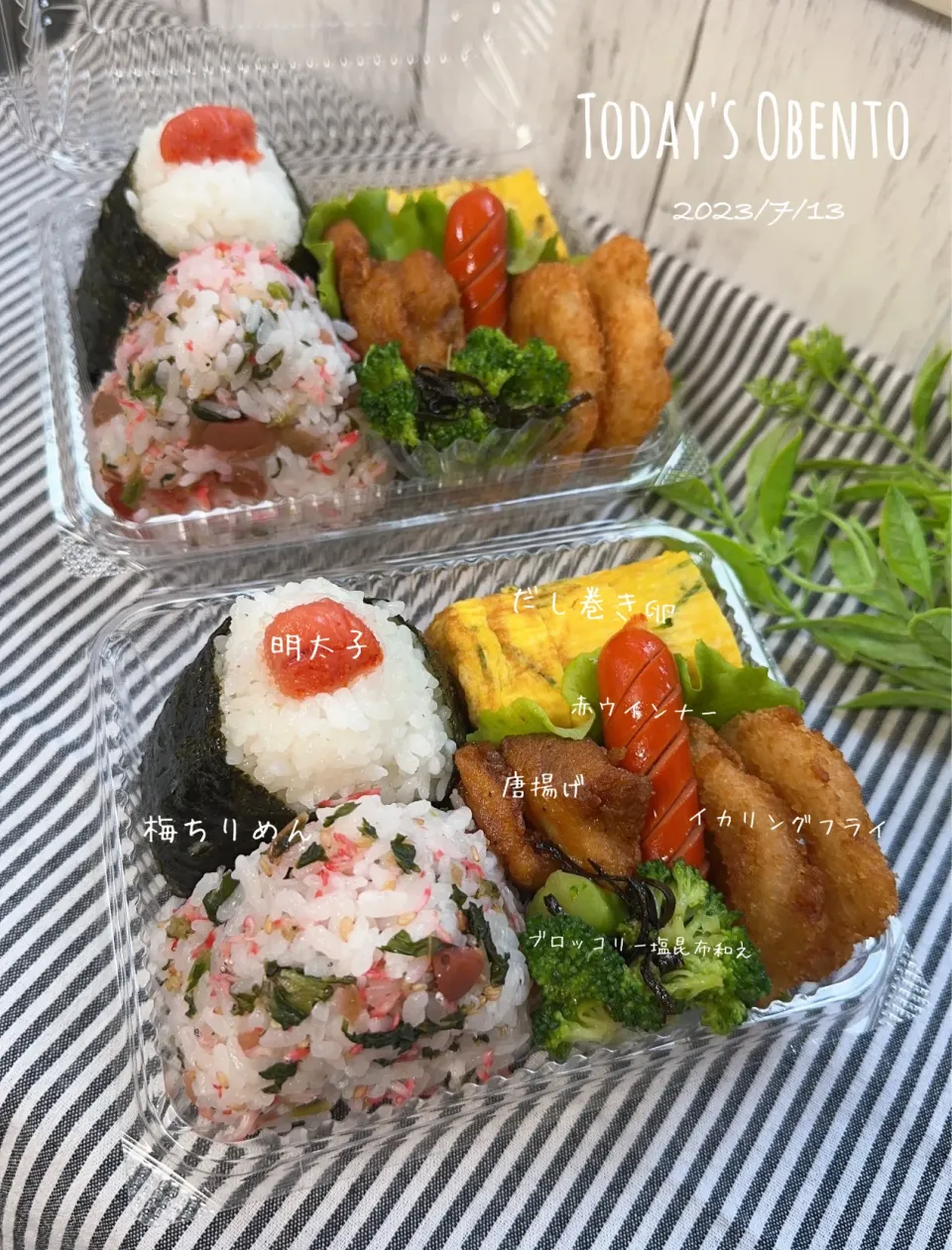 Snapdishの料理写真:今日のお弁当🍱|✰︎miyu✰︎さん