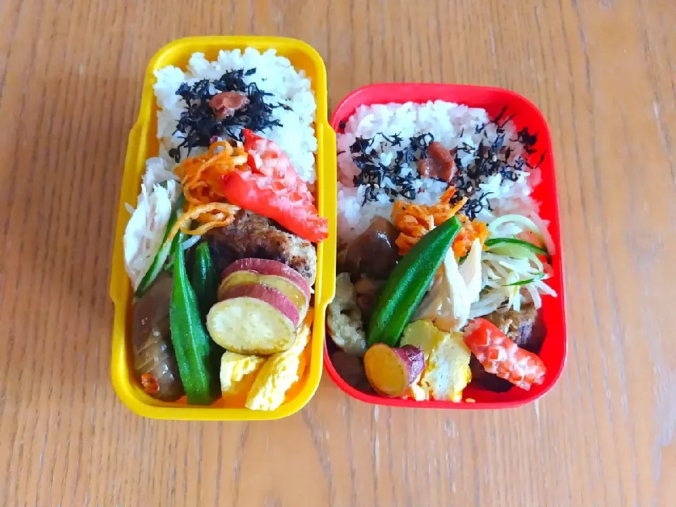 Snapdishの料理写真:むすめとわたしのお弁当🎵 2023.7.13|mayumiさん