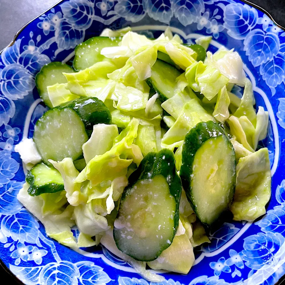 みさきキャベツときゅうり🥒の塩麹漬け|ひだまり農園さん