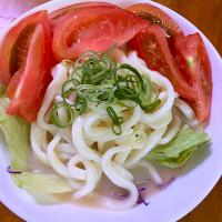 レンジで温めて食べる讃岐風うどん