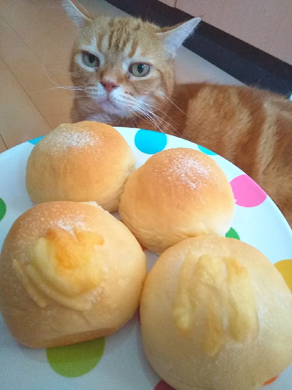 お昼ごはんは
ふわふわチーズパン😸|さくらんぼさん