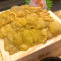 ウニ丼！！|クレアさん