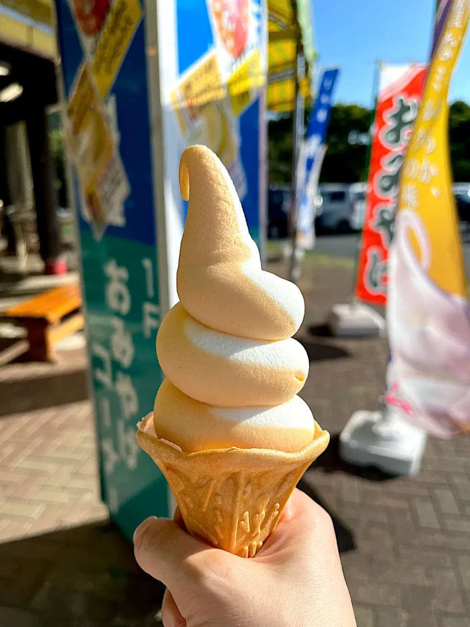 Snapdishの料理写真:びわと千葉ミルクのソフトクリーム🍦|Sakikoさん