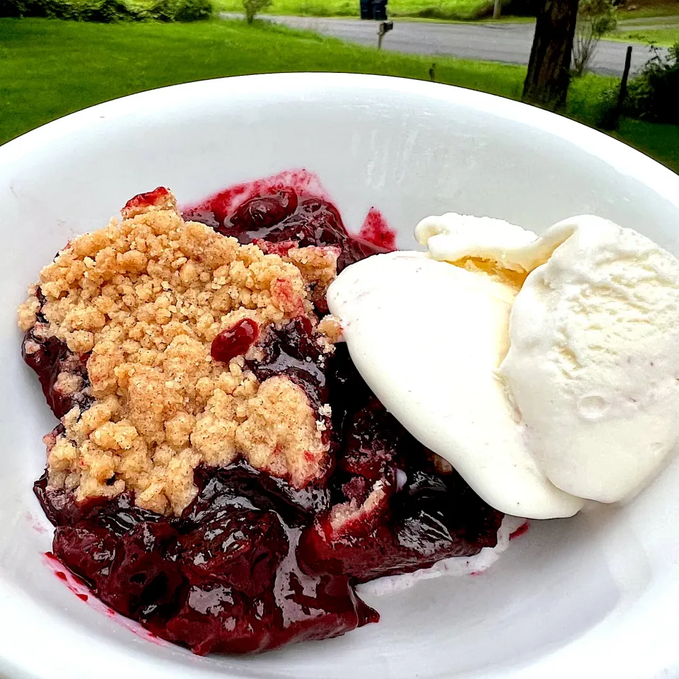 Blueberry crisp with vanilla ice cream|Dean M Rogersさん