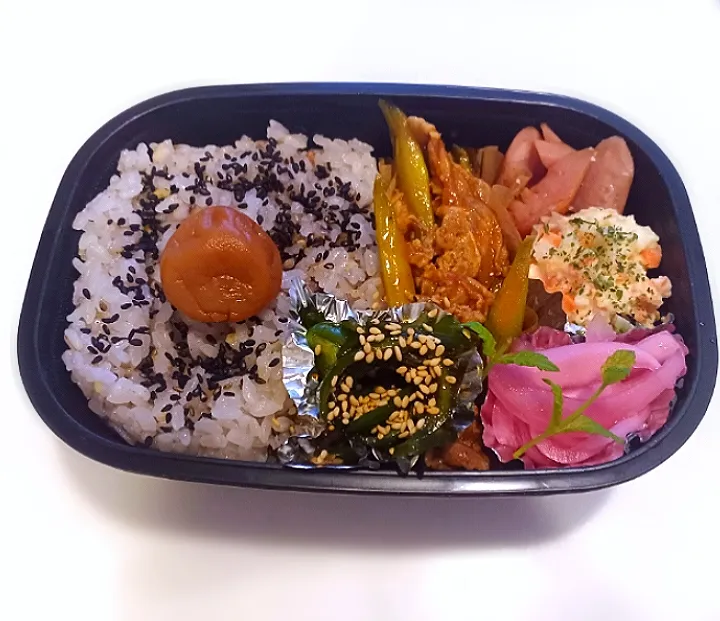 Snapdishの料理写真:お弁当🍱|Nicoさん