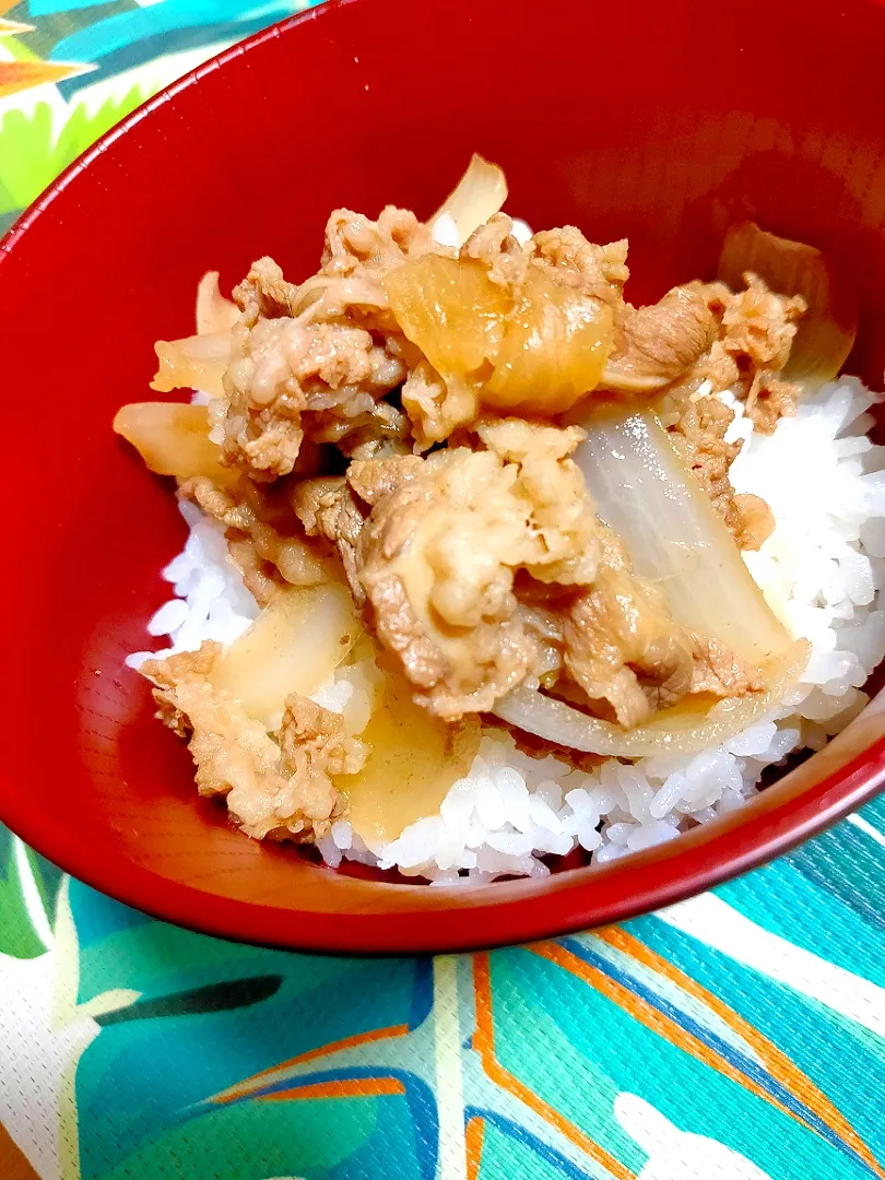 Snapdishの料理写真:ネギだくつゆだく牛丼|tamakiさん