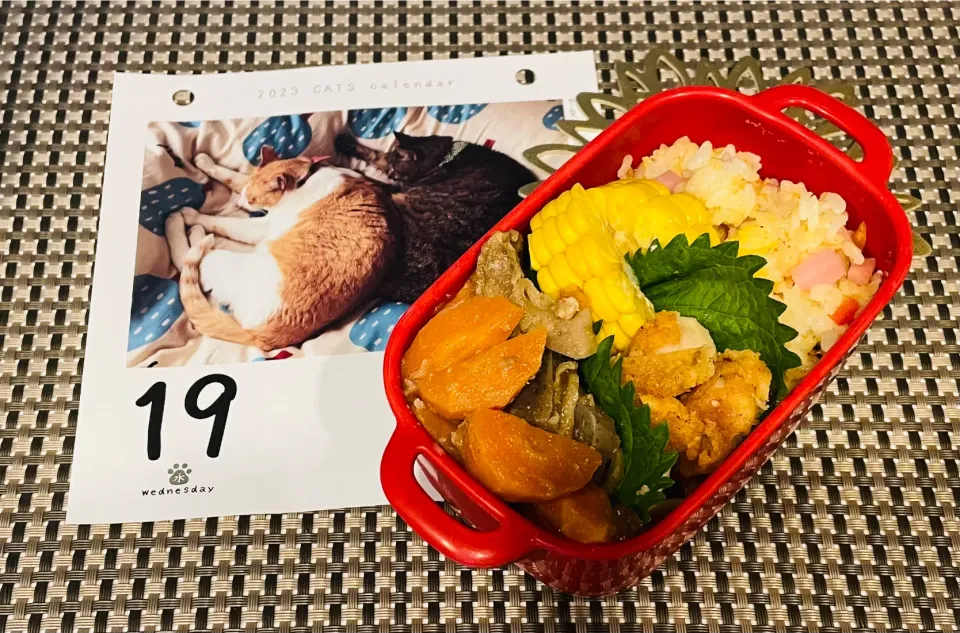 Snapdishの料理写真:20230719🍱今日の自分弁当🍱|akiyo22さん