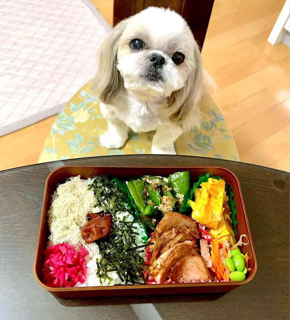 Snapdishの料理写真:焼き豚弁当|プクママさん